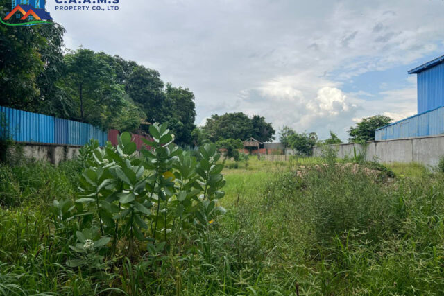 Land for Sale In Russey Keo