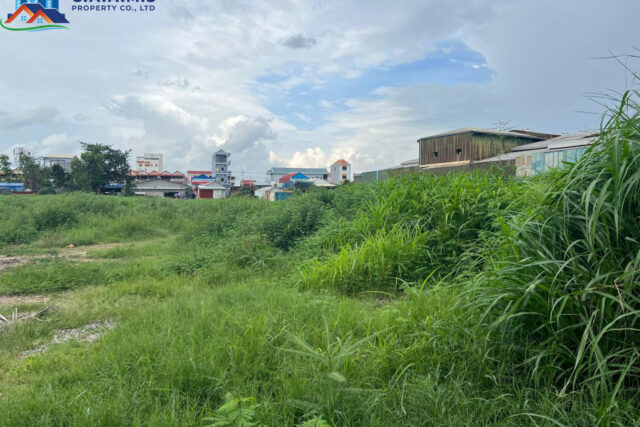 Land For Rent in russey keo