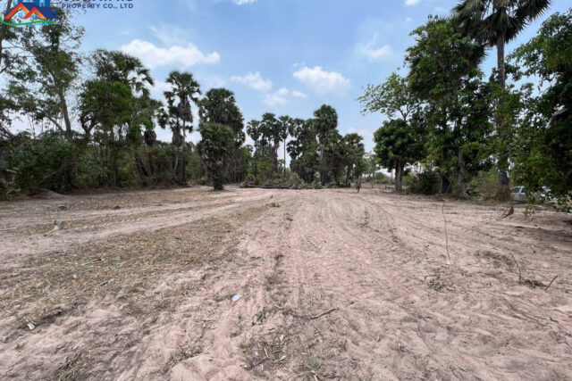 Land for Sale – Agricultural Rice Field